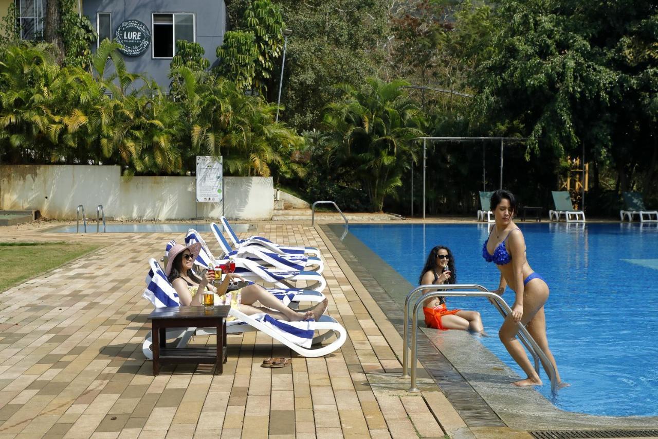דנדלי Whistling Woodzs Resort מראה חיצוני תמונה