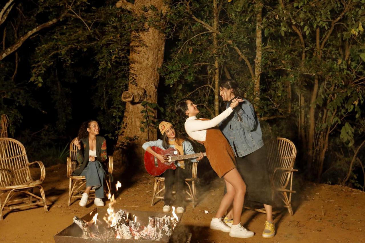 דנדלי Whistling Woodzs Resort מראה חיצוני תמונה
